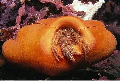 Epic喜加一 免费领取《2064：存储大战》