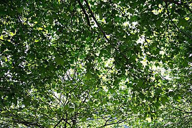 《High on Life》现已登陆索尼PS4和PS5