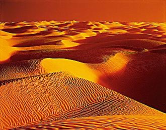 《Concord》美工自述：角色失败是因委员会干预